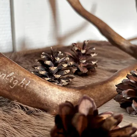 Kuunkajo * レヴィ