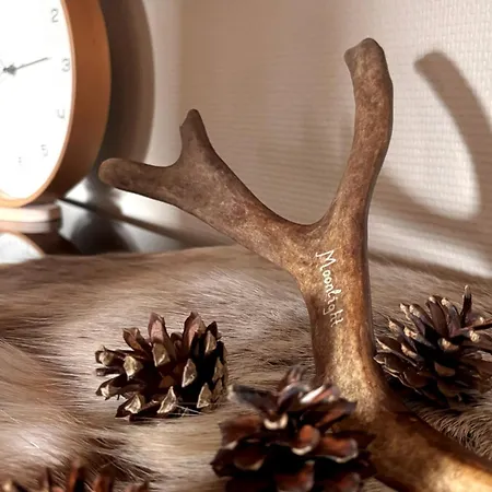 Kuunkajo アパート